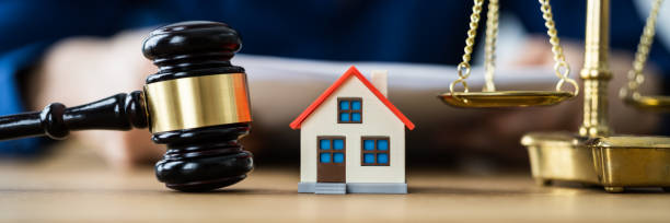 professional property rights